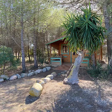 Masia Con Bosque Privado * Albinyana