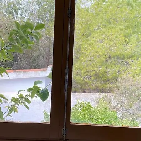Masia Con Bosque Privado *