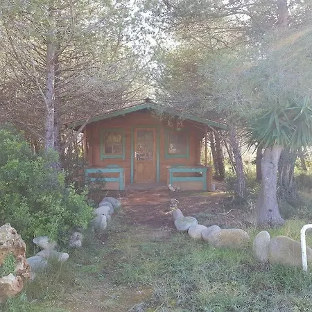 Masia Con Bosque Privado *