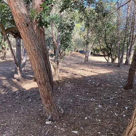 Masia Con Bosque Privado
