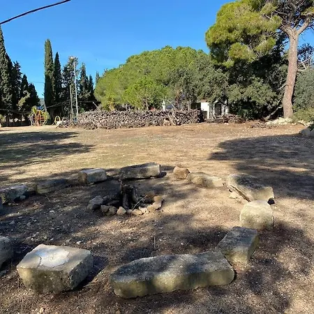 Masia Con Bosque Privado