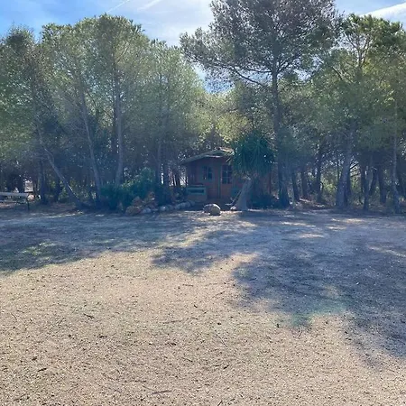Masia Con Bosque Privado *
