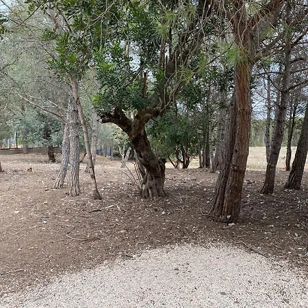 Βίλα Masia Con Bosque Privado