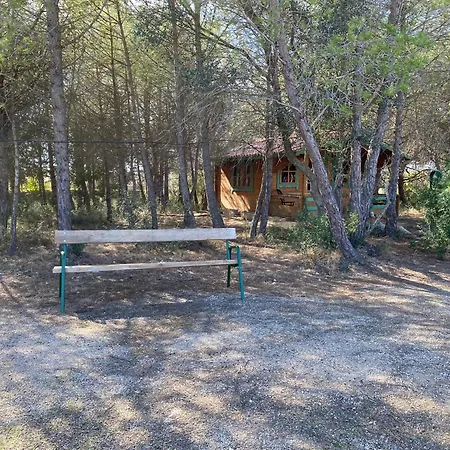 Masia Con Bosque Privado Βίλα *